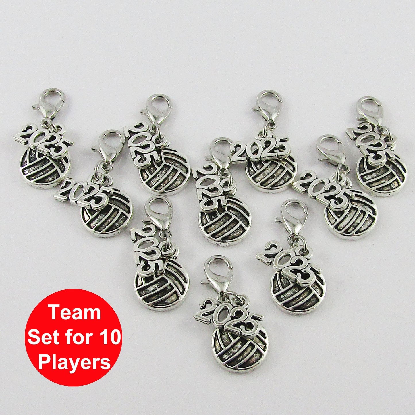 2025 Netball Charm Sports Coach Gift Team Set of 10 Pick European Bail or Clip