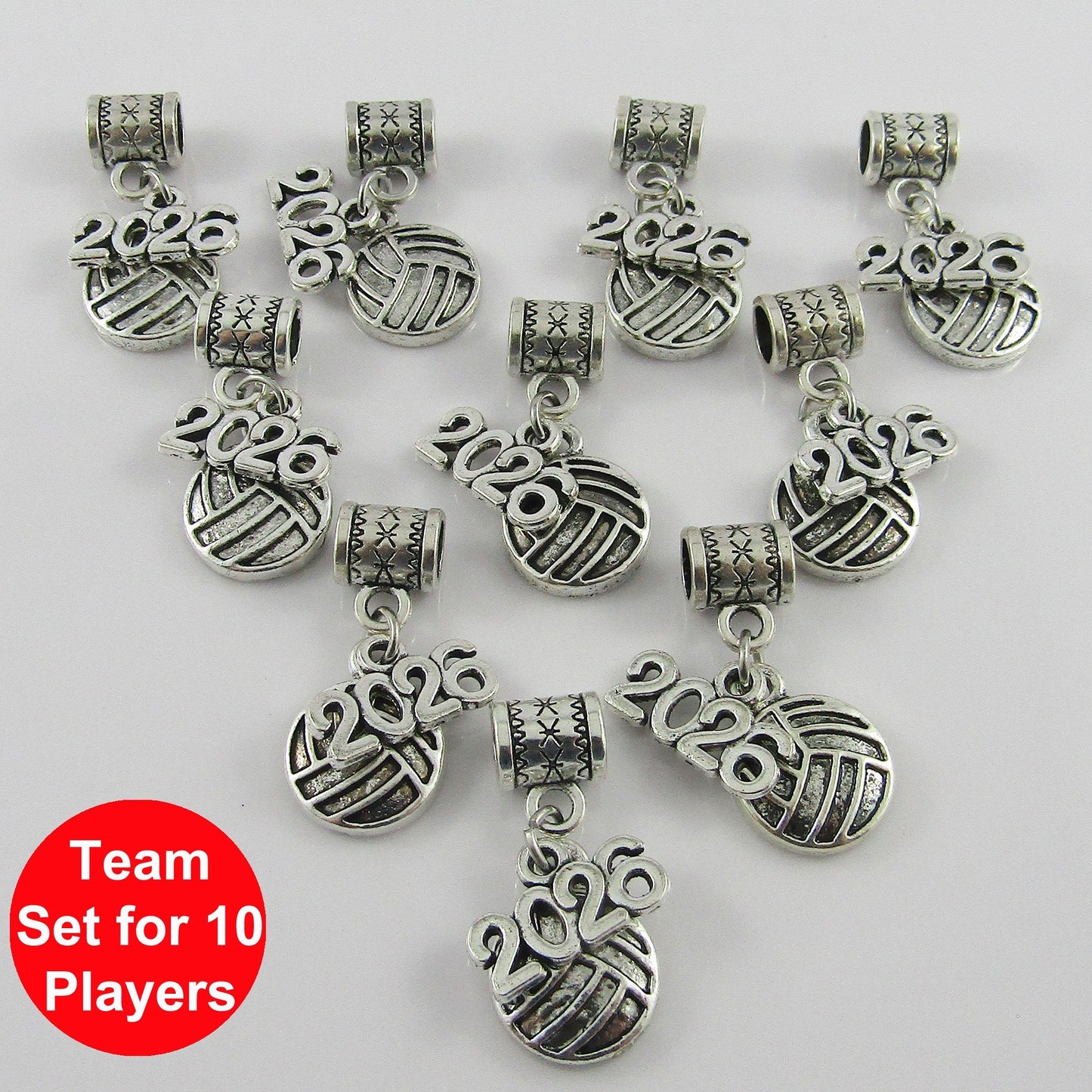 2026 Netball Charm Sports Coach Gift Team Set of 10 Pick European Bail or Clip