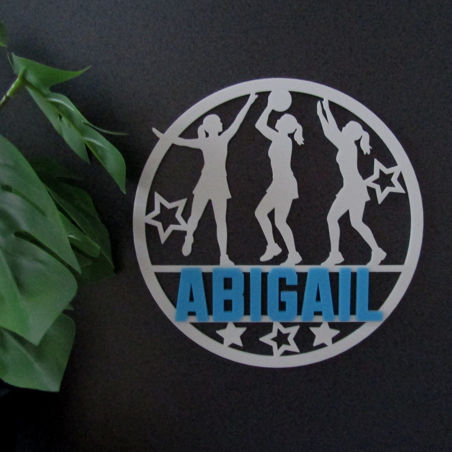Personalised Netball Wall Plaque – Custom Name 3D Printed Bedroom Door Sign
